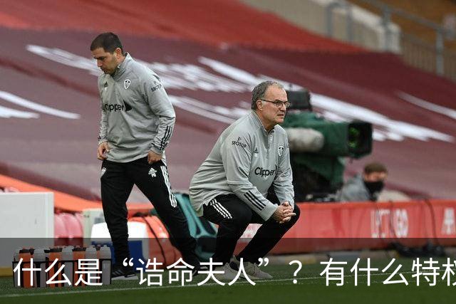 什么是“诰命夫人”？有什么特权和好处