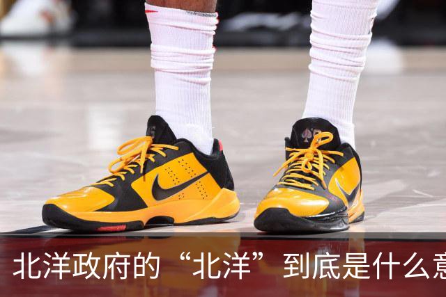 北洋政府的“北洋”到底是什么意思？不是北方洋人的意思