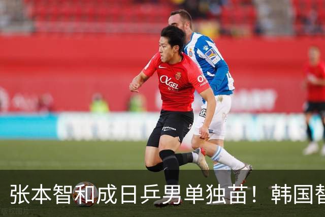 张本智和成日乒男单独苗！韩国替补打出新高度，周启豪从3-1到0-3